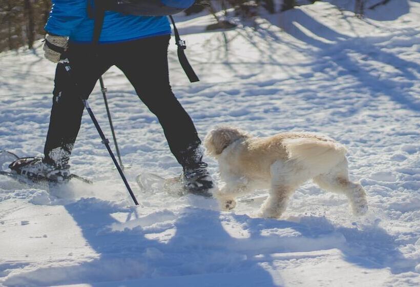 호텔 Holiday Inn Express & Suites   Saskatoon East   University, An Ihg