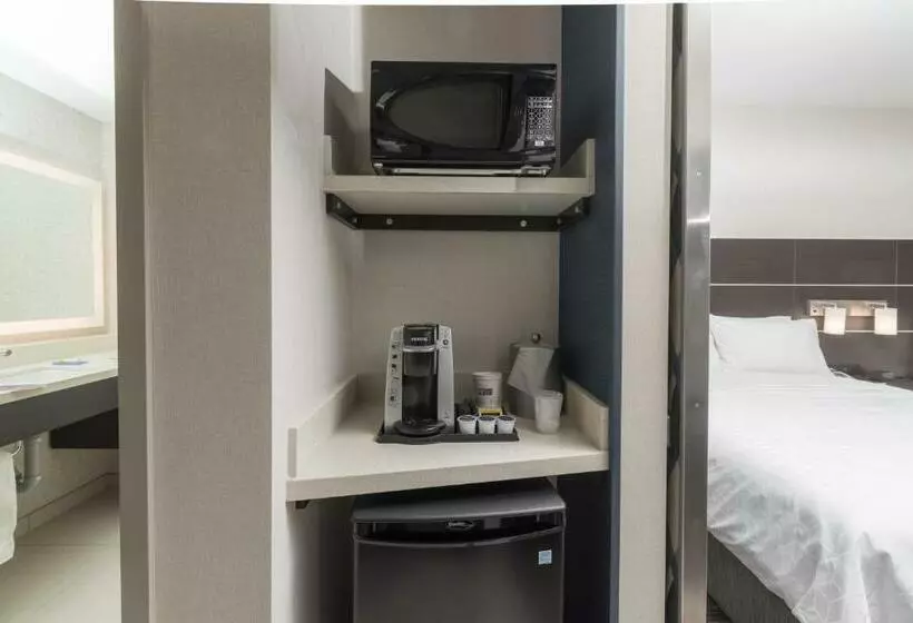 ホテル Holiday Inn Express & Suites Saskatoon East University, An Ihg
