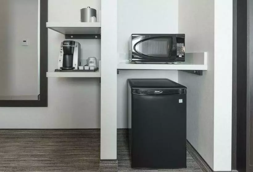ホテル Holiday Inn Express & Suites Saskatoon East University, An Ihg