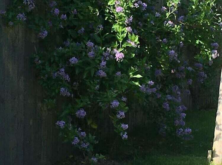 فندق Kilbawn Country House