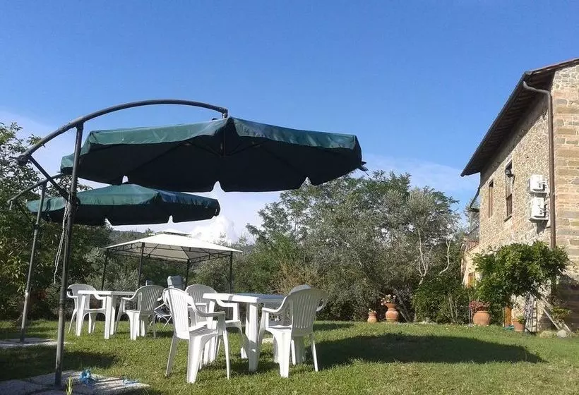 Le Mimose B&b