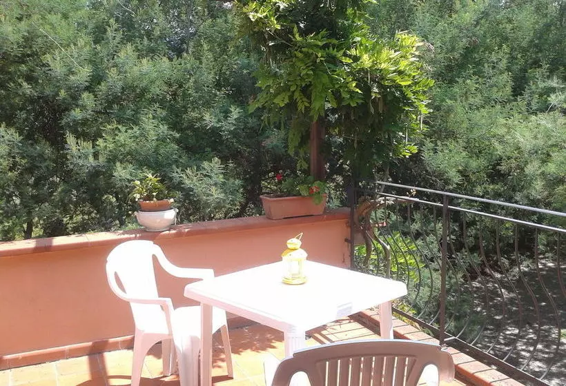 Le Mimose B&b