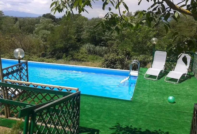 Le Mimose B&b