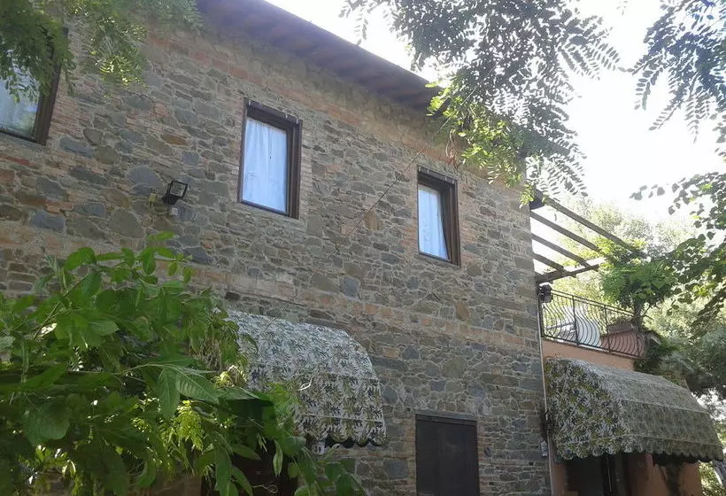 Le Mimose B&b
