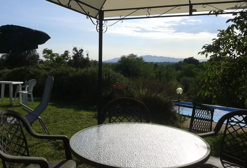 Le Mimose B&b