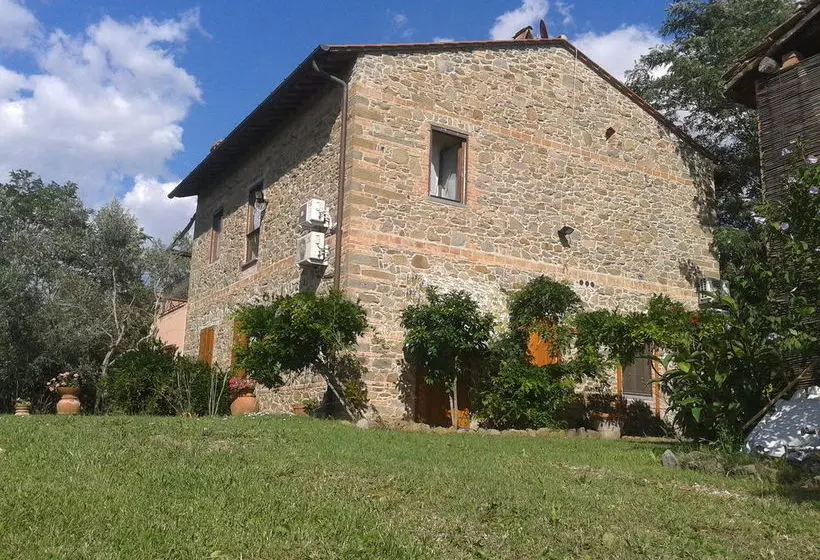 Le Mimose B&b