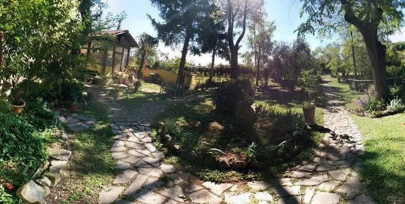 Le Mimose B&b
