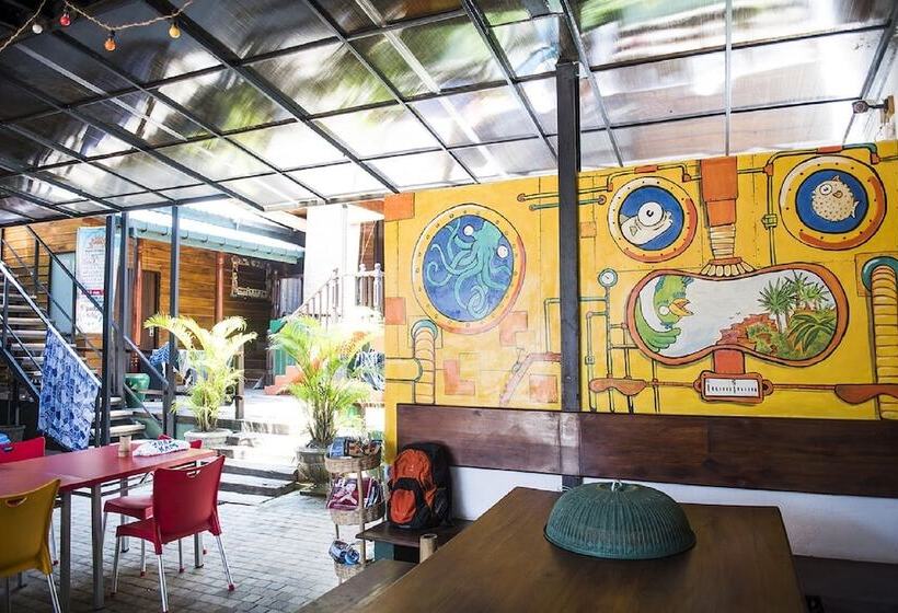 Hangover Hostels Mirissa