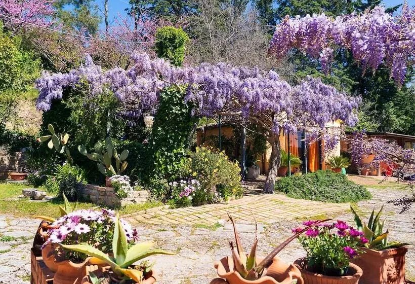 هتل B&b Glicine
