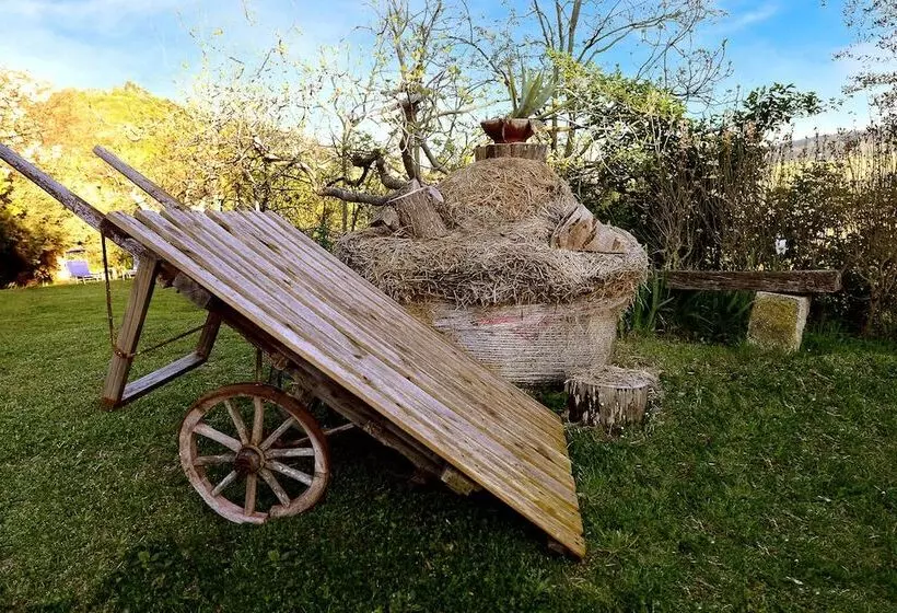 هتل B&b Glicine