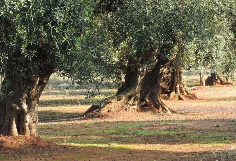 هتل B&b Le Comari Salentine