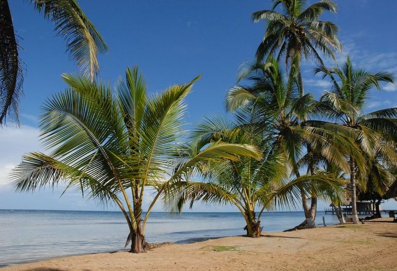 فندق Coral Lodge