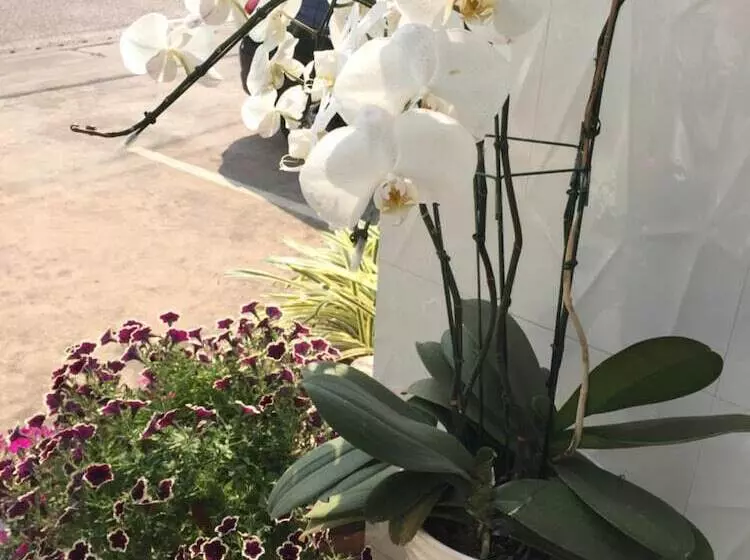 ホテル Crystal Nongkhai