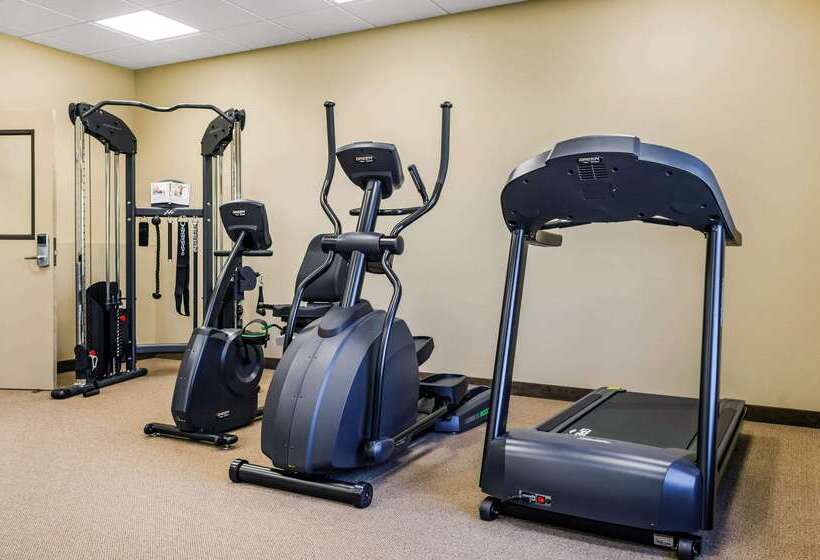 Отель Mainstay Suites Hackberry Sportsman's Lodge