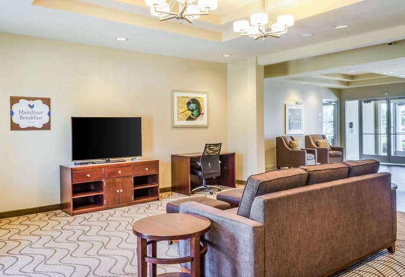 Отель Mainstay Suites Hackberry Sportsman's Lodge