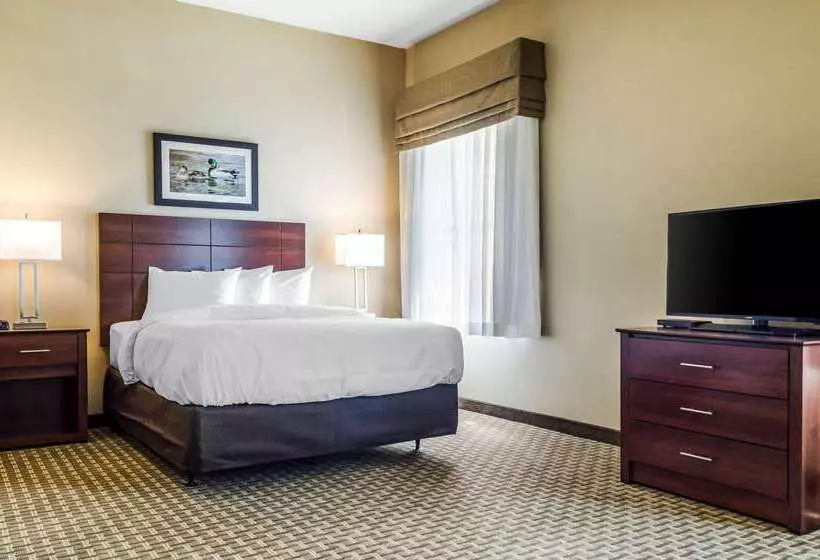 Hotelli Mainstay Suites Hackberry Sportsman's Lodge