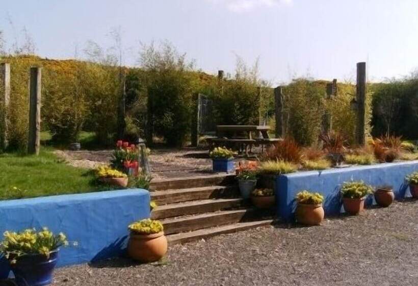 膳宿费 The Village Studio Apartments