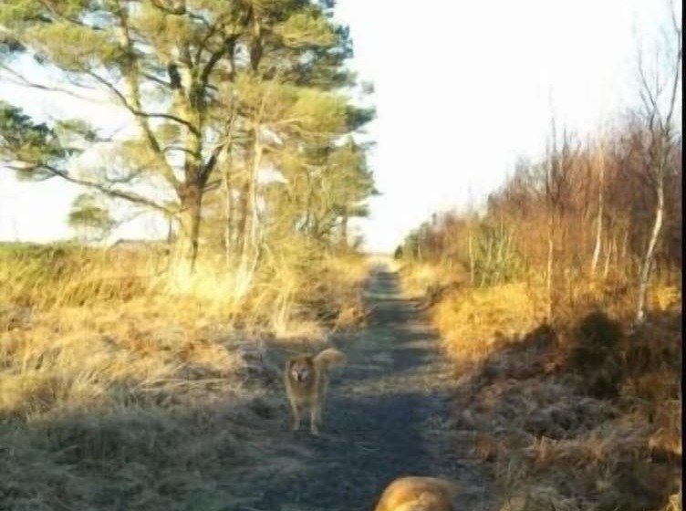 膳宿费 The Village Studio Apartments