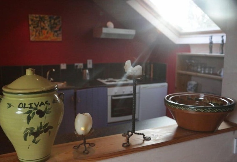 膳宿费 The Village Studio Apartments