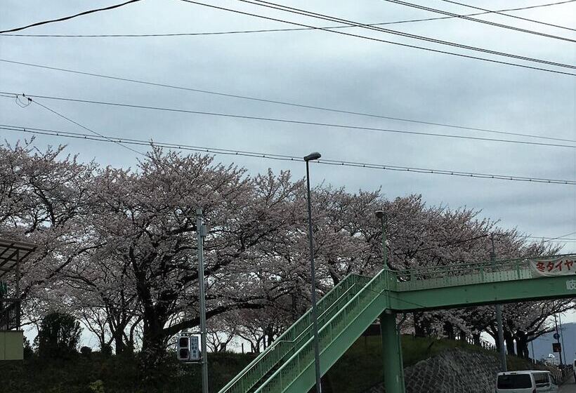 Общежитие Guesthouse Kiten