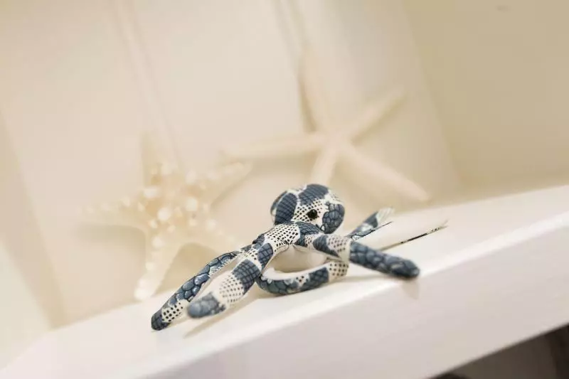 ベッドアンドブレックファースト Anvershiel House