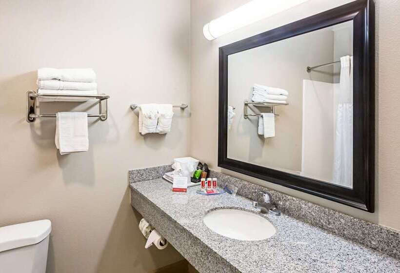 בית מלון כפרי Econo Lodge Baton Rouge University Area