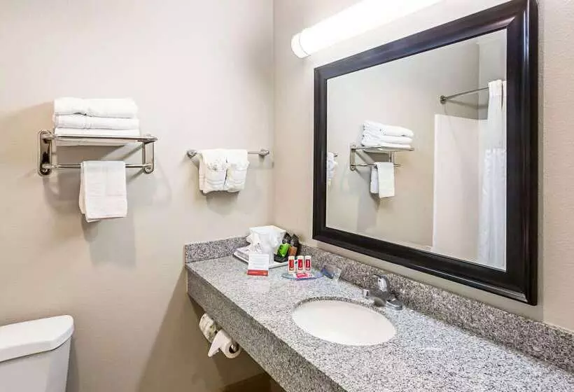 ホテル Econo Lodge Baton Rouge University Area