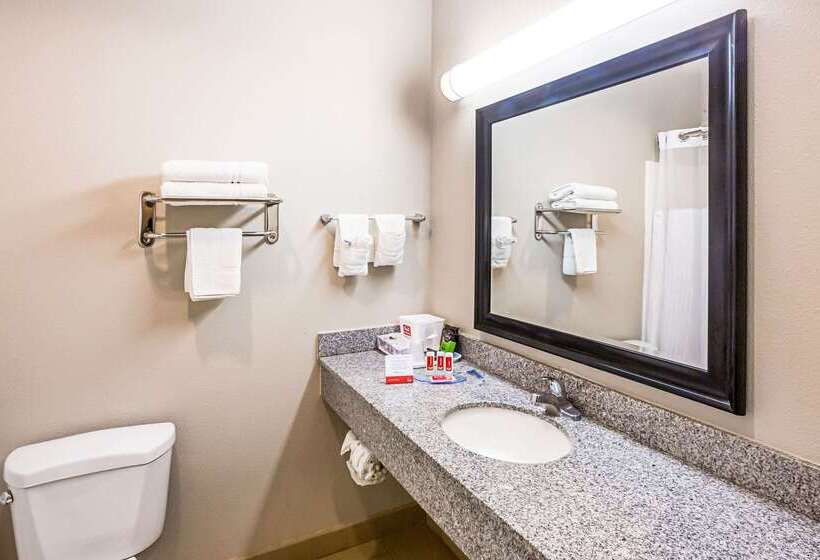 בית מלון כפרי Econo Lodge Baton Rouge University Area