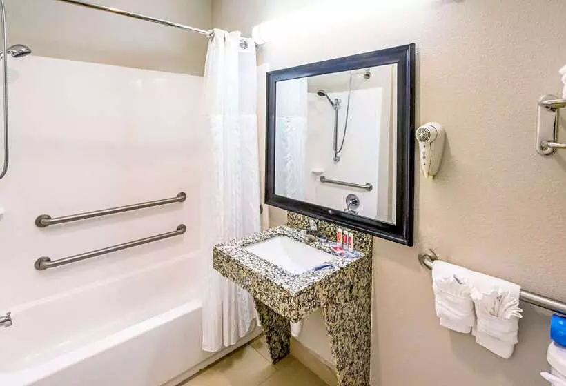 ホテル Econo Lodge Baton Rouge University Area