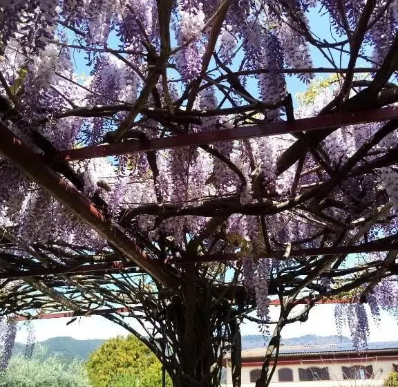 Hotelli La Casa Gialla