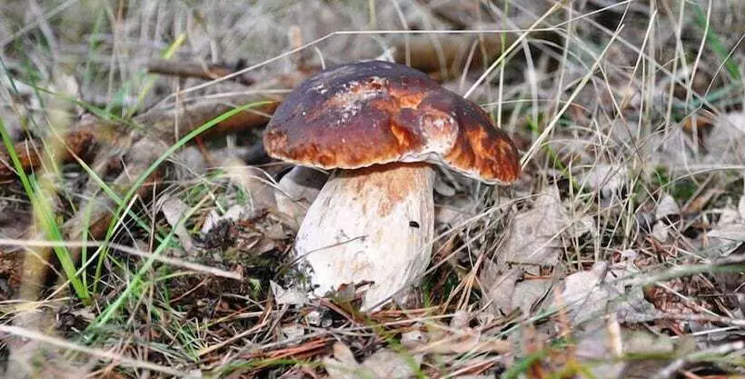 Hotelli Rural Y Spa La Senda De Los Caracoles