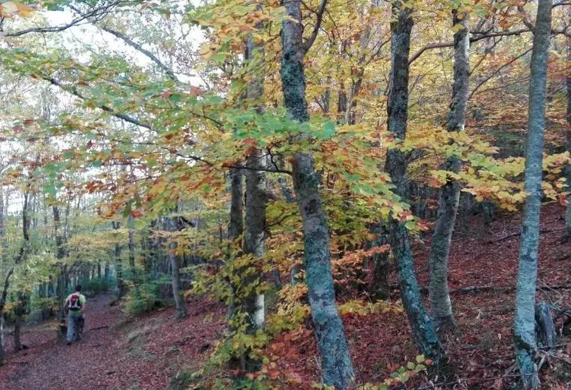 Hotelli Rural Y Spa La Senda De Los Caracoles