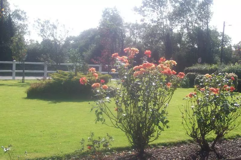هتل Suncrest B&b