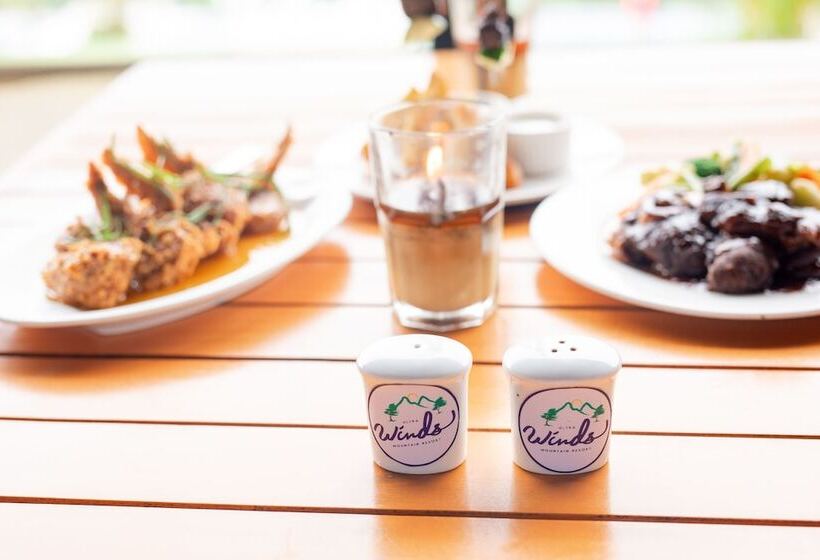 فندق Ultra Winds Mountain Resort