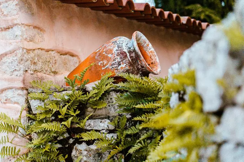 Hotelli Villa Pedra Natural Houses