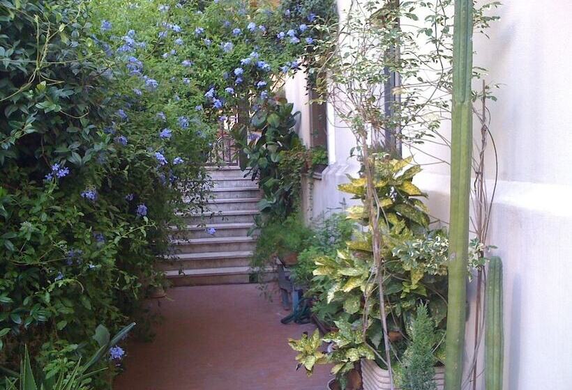 تختخواب و صبحانه Il Plancton