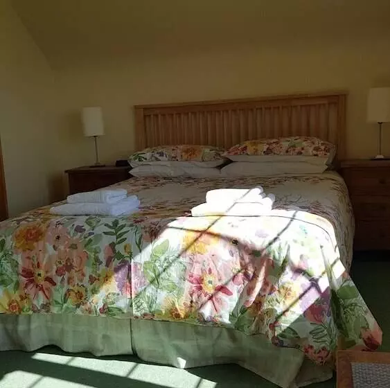 Aamiaismajoitus (B&B) Kilcreeny Lodge