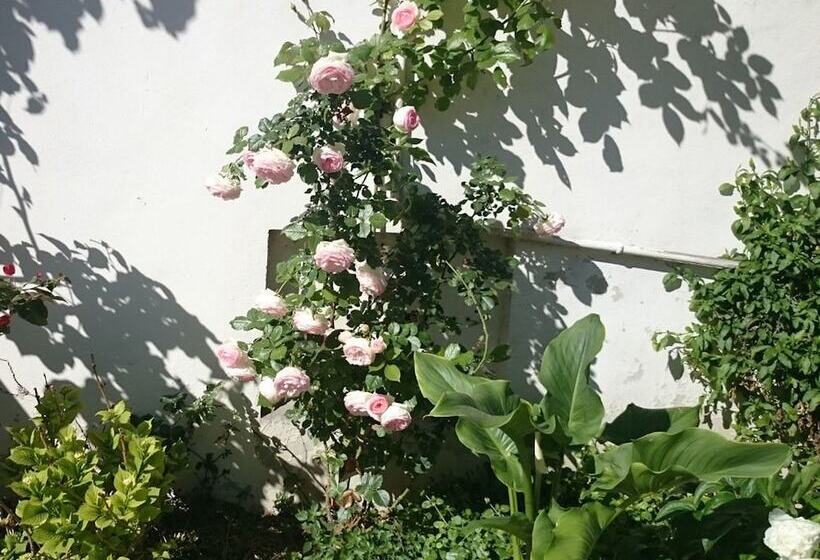 تختخواب و صبحانه Le Clos Chez Michel