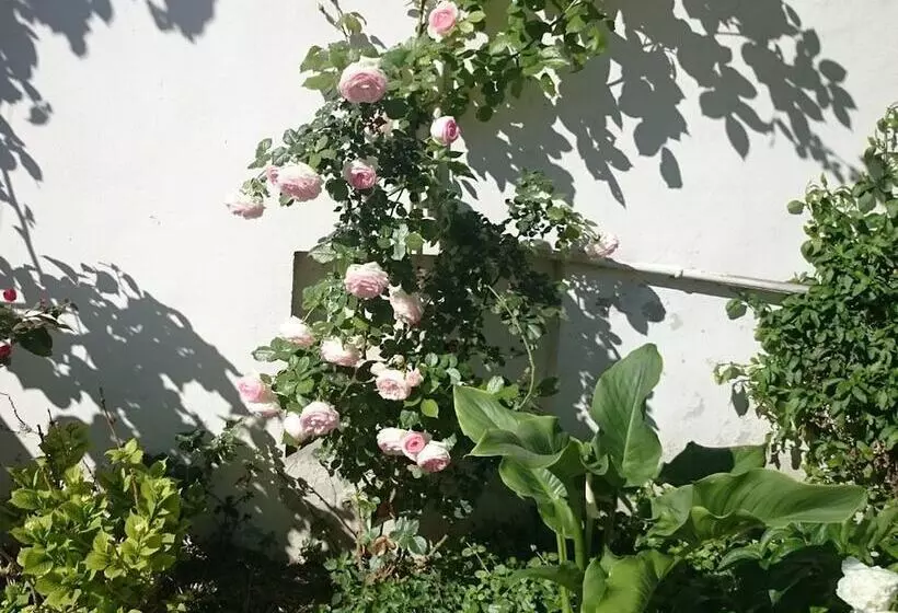 Aamiaismajoitus (B&B) Le Clos Chez Michel