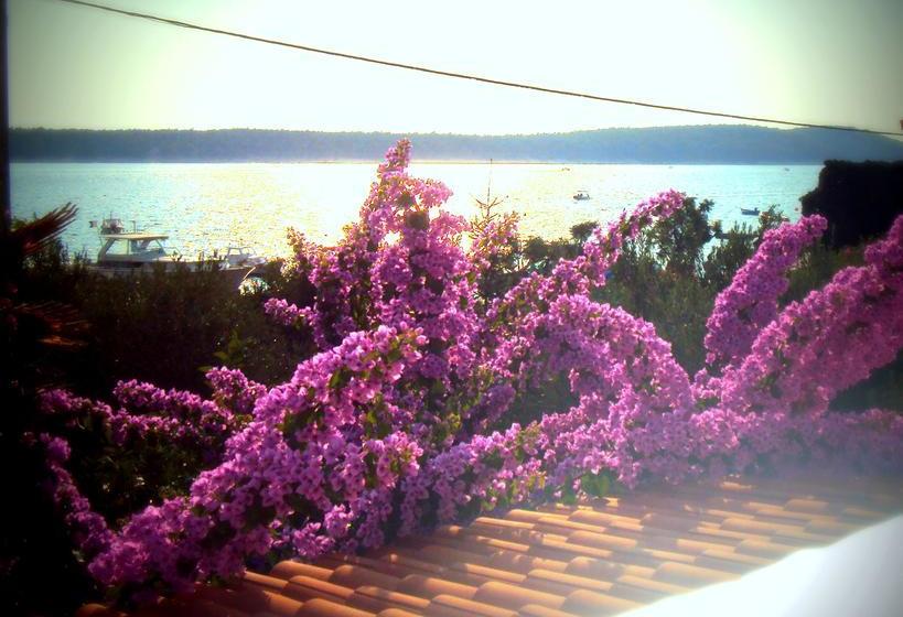 Bed And Breakfast Nika