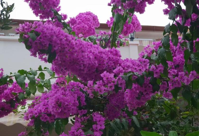 Bed And Breakfast Nika