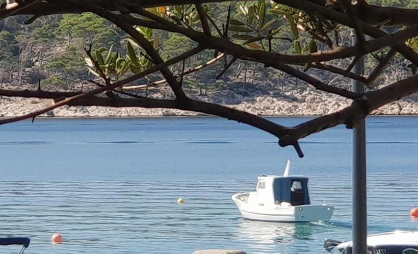 Bed And Breakfast Nika