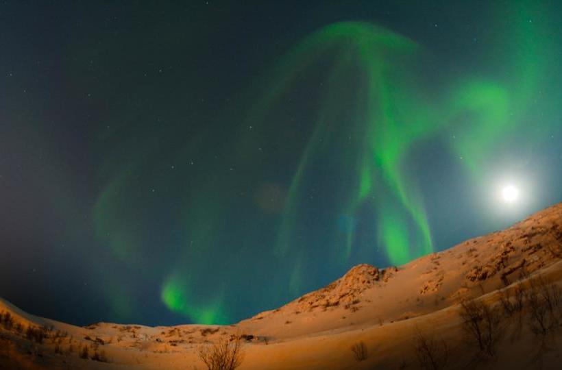 Båtsfjord Royal Hotell