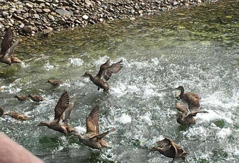 Båtsfjord Royal Hotell