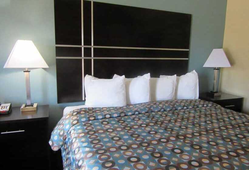 فندق Executive Inn And Suites Tyler