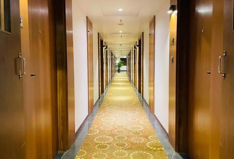 Comfort Hotel Vista