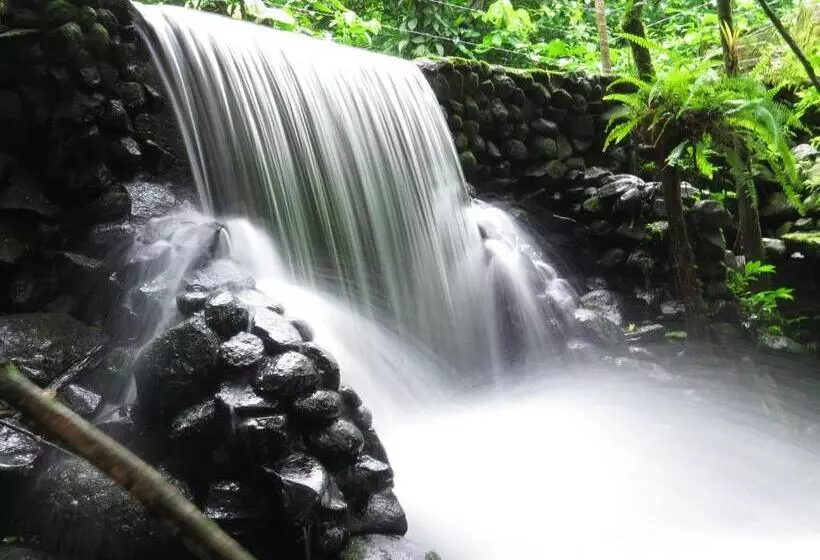 Hotelli La Rana De Arenal