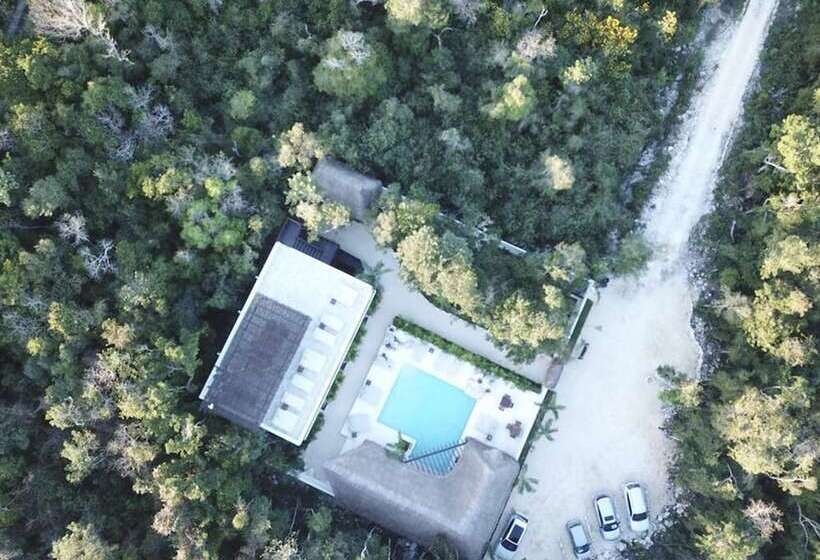 فندق Xcacel Dreams