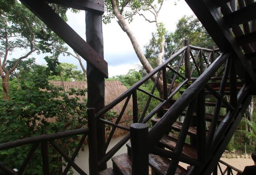 فندق Xcacel Dreams