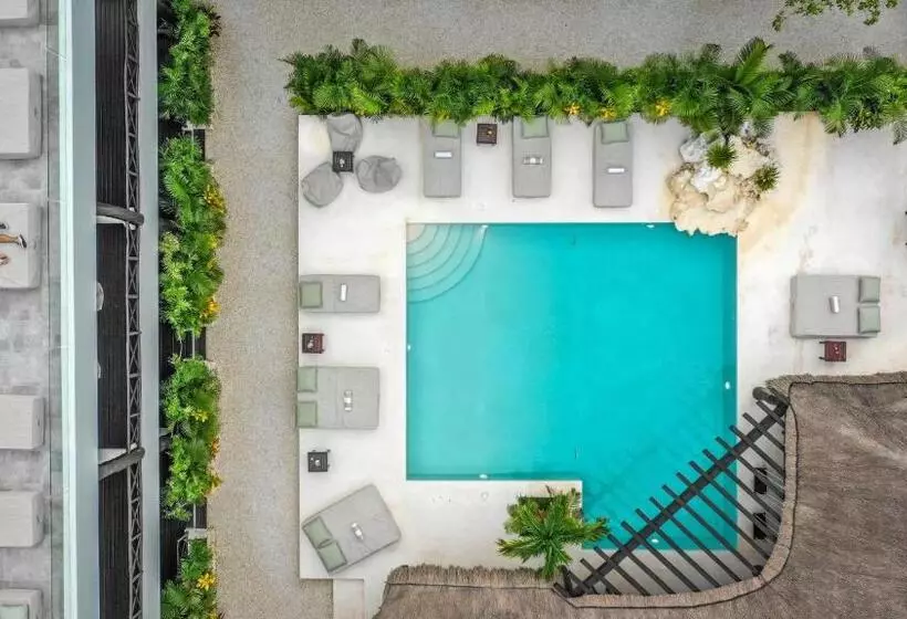 Hotelli Xcacel Dreams